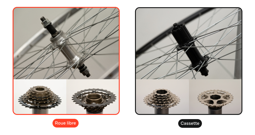 À gauche : une roue libre et un moyeu de roue arrière. À droite : une cassette avec un moyeu équipé d’un corps de cassette