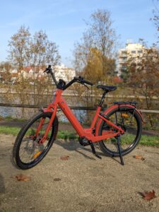 PXL_20211118_104202114.PORTRAIT