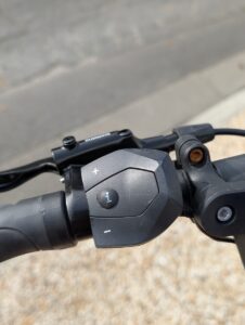 PXL_20250226_153112976.PORTRAIT