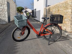 PXL_20250226_153411253.PORTRAIT.ORIGINAL