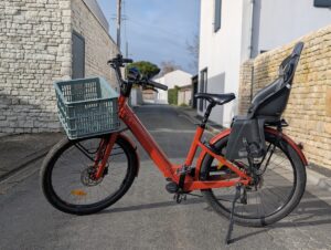 PXL_20250226_153449842.PORTRAIT