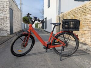 PXL_20250226_153606576.PORTRAIT