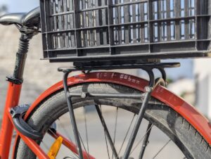 PXL_20250226_153615356.PORTRAIT