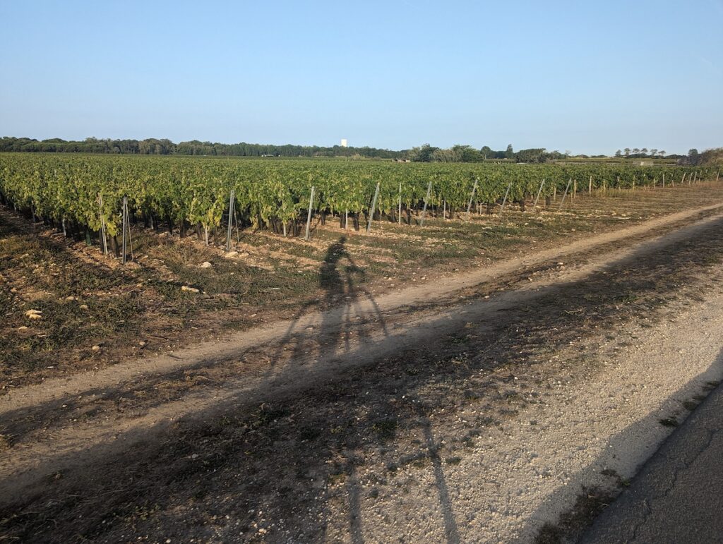 Balade vélo île de ré : Clocher emblématique d'Ars-en-Ré avec vélos garés devant l'église"