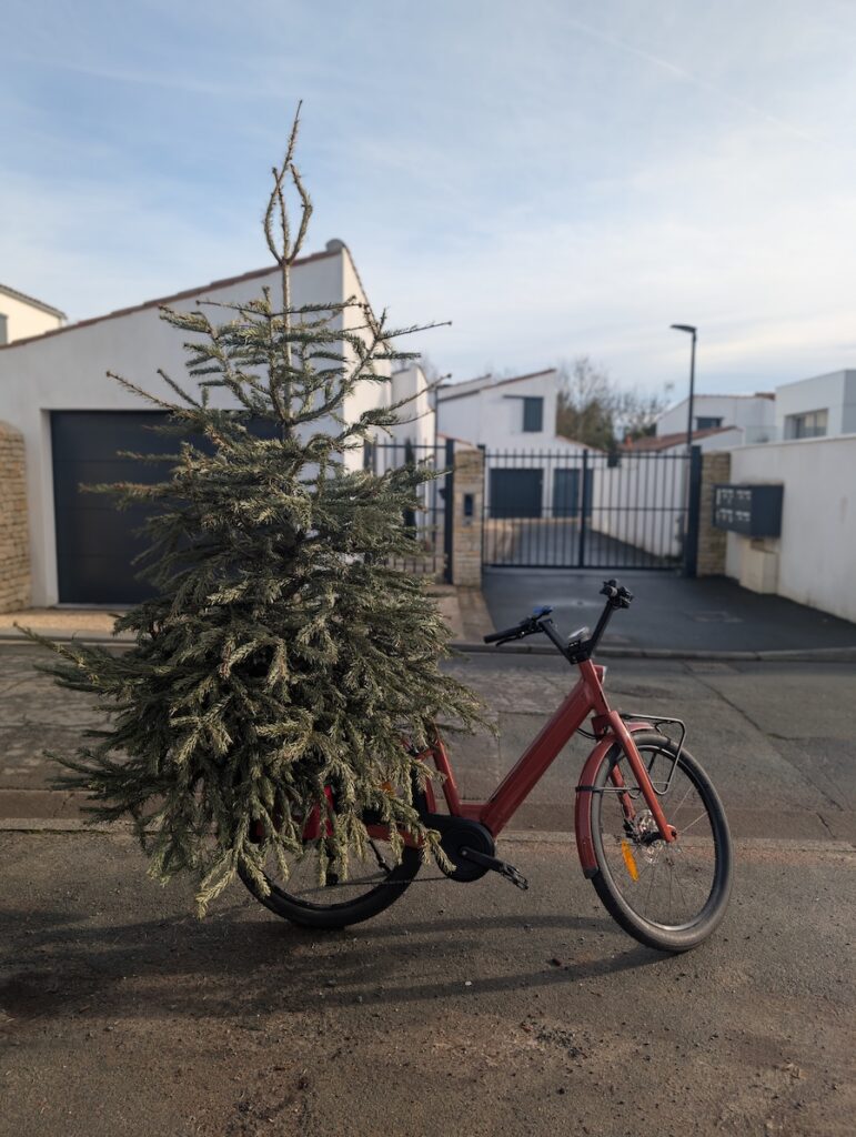 Transport d'un sapin à vélo avec sacoches Bakkie