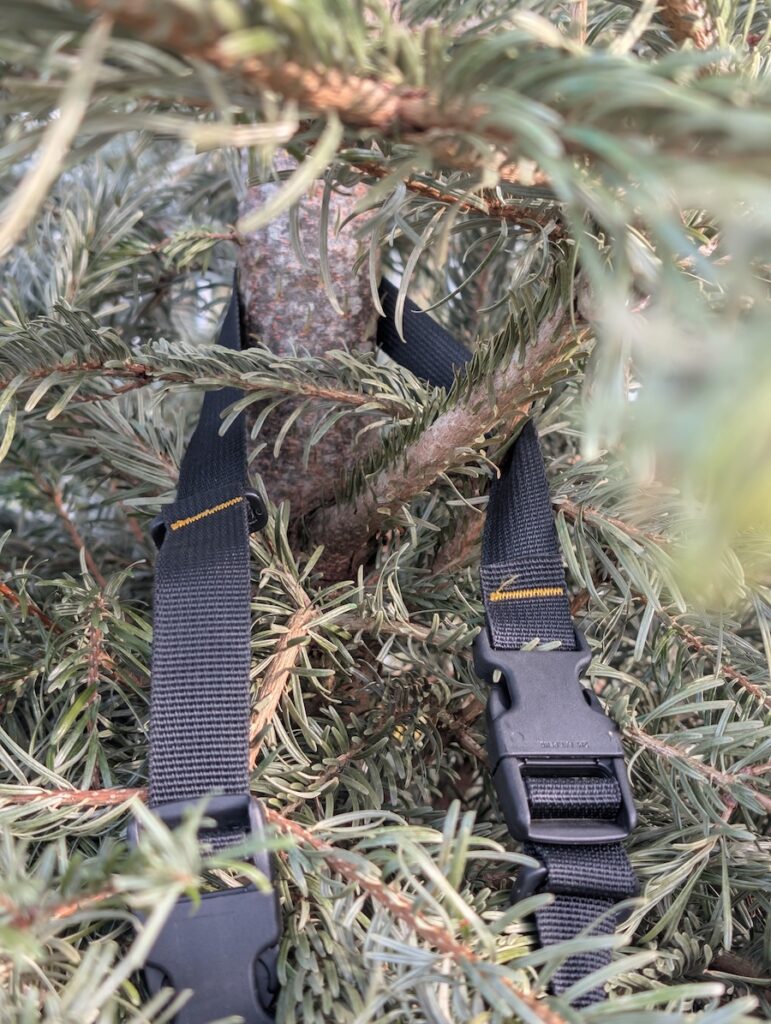 boucle pour transporter sapin avec la sacoche vélo bakkie cycles