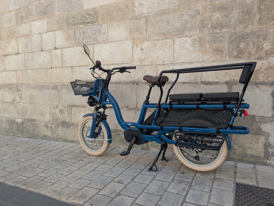 GAYA L'Incroyable de profil arrière devant un mur en pierres - verdict après 150 km