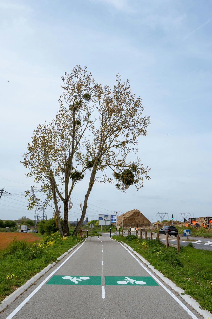 Piste cyclable verte bidirectionnelle séparée de la route par une bordure