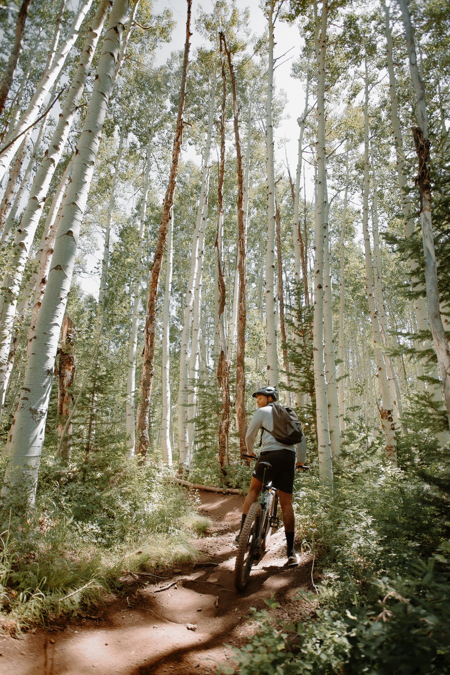 VTT électrique sur un sentier en forêt, pratique tout-terrain en pleine nature