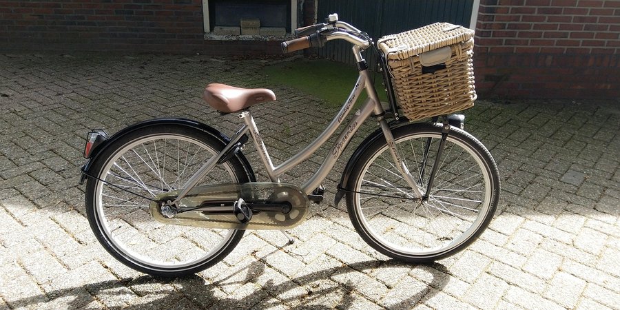 Vélo hollandais de profil : cadre col de cygne, carter de chaîne, garde-boue et panier avant